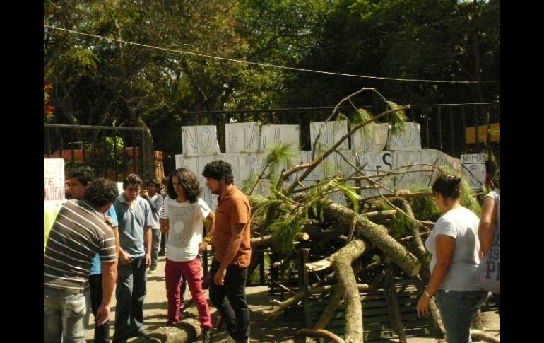 Informaron que repondrán áreas verdes ya que se consiguió importante cantidad de árboles sanos.  /