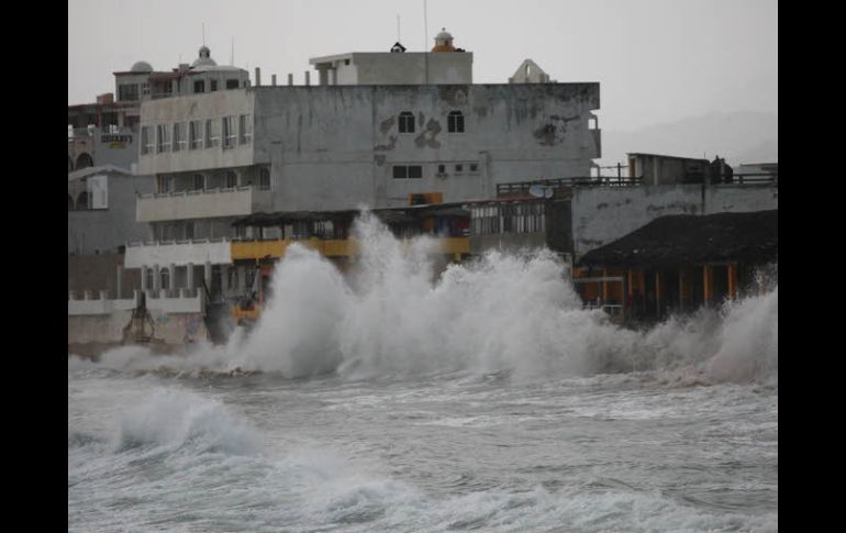 Informan que las inundaciones en Cihuatlán se llevaron un corral con aproximadamente 80 u 85 nidos.  /