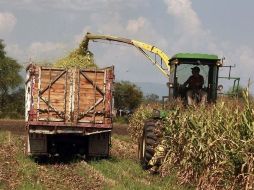 El III Foro Internacional Agro se realizará del 17 al 19 de noviembre en Puerto Vallarta.  /