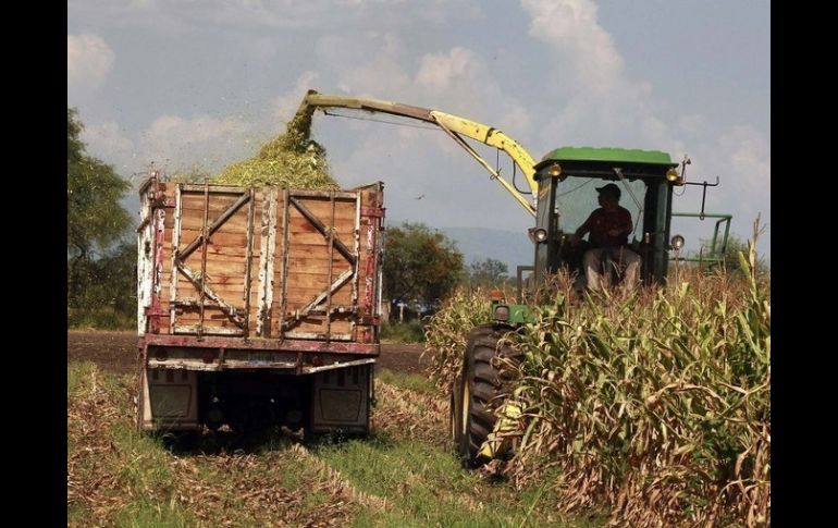 El III Foro Internacional Agro se realizará del 17 al 19 de noviembre en Puerto Vallarta.  /