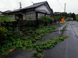 Tomioka, evacuada, espera la descontaminación mientras la naturaleza se va adueñando de sus edificaciones. AP  /