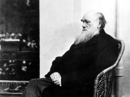 En 1859 Charles Darwin publica El origen de las especies. Un parteaguas en el saber humano. ARCHIVO  /