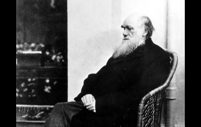 En 1859 Charles Darwin publica El origen de las especies. Un parteaguas en el saber humano. ARCHIVO  /