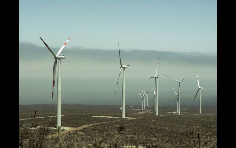 El proyecto incluye la construcción de 132 torres con aerogeneradores y una línea de transmisión de 52 kilómetros.  /