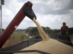 La empresa turca es líder en el mercado de productos relacionados con las industrias de aperitivos, cerveza y cereales.  /