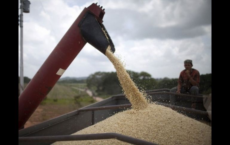 La empresa turca es líder en el mercado de productos relacionados con las industrias de aperitivos, cerveza y cereales.  /