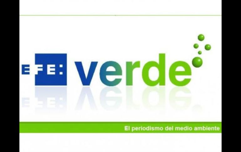 La firma ecológica difunde sus proyectos vía Twitter, Facebook y en su página web efeverde.com. ESPECIAL  /