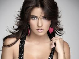 Perroni ha enfocado su carrera a las telenovelas y hasta la fecha no ha externado intención de regresar a la música. ESPECIAL  /