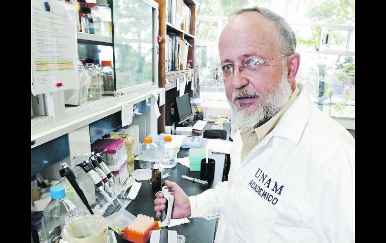 Alejandro Alagón, del Instituto de Biotecnología de la UNAM, creó el antiveneno para las picaduras de alacrán. EL UNIVERSAL  /