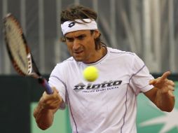 El tenista español David Ferrer durante el entrenamiento en la pista del estadio Olímpico de La Cartuja en Sevilla. EFE  /