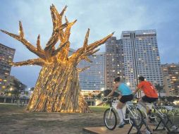 Sudafricanos iluminan un árbol de Baobab montados en bicicletas en Durban. EFE  /