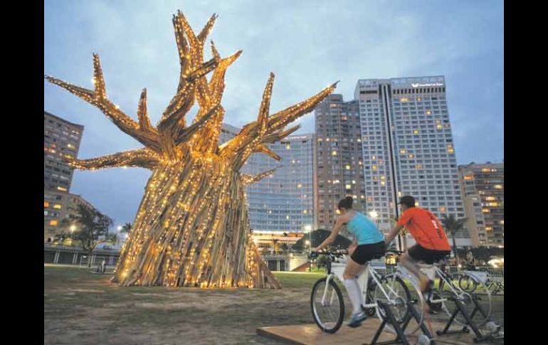 Sudafricanos iluminan un árbol de Baobab montados en bicicletas en Durban. EFE  /