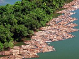 Entre las principales causas de la deforestación de la selva amazónica,  están los incendios. AFP  /