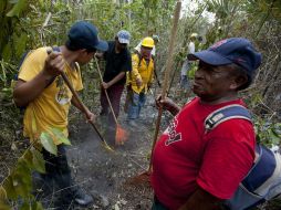 Del total de los recursos la Comisión Nacional Forestal aportó 351.2 millones.  /