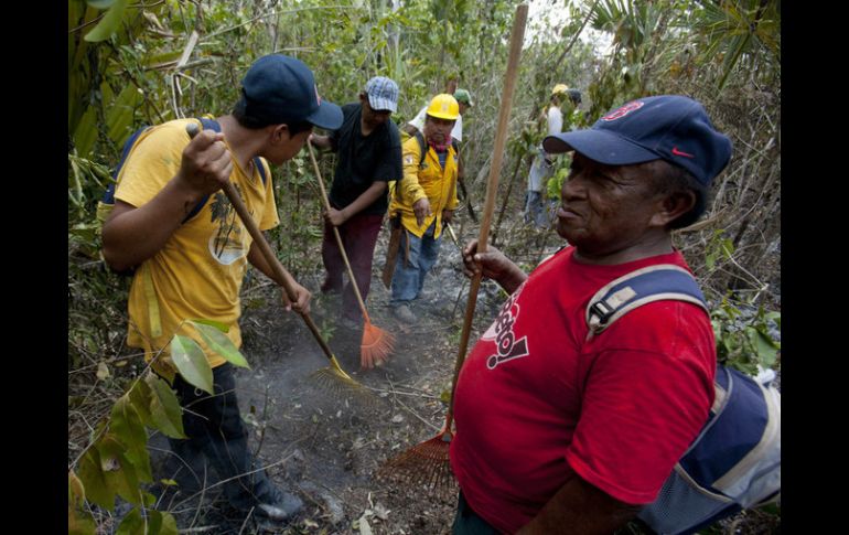 Del total de los recursos la Comisión Nacional Forestal aportó 351.2 millones.  /