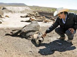 Se busca que los recursos atenúen los efectos de las sequías y heladas previstas para 2012. EL UNIVERSAL  /