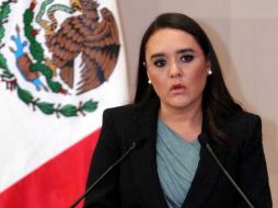 'Nosotros negamos que haya habido conocimiento por parte de las autoridades mexicanas', dice Sota. NOTIMEX  /