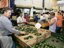 El aguacaté será uno de los productos agrícolas más afectados por el TLC con Perú.  /