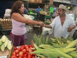 En Jalisco las zonas perjudicadas son, la región Norte y la de Los Altos, sobre todo, Lagos de Moreno y Ojuelos.  /