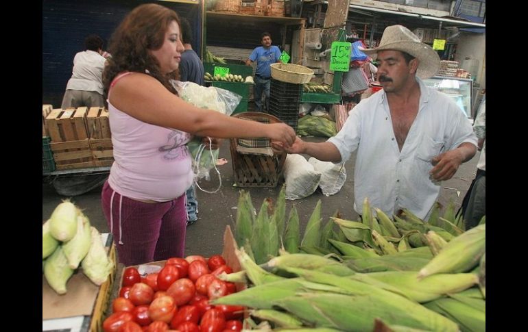 En Jalisco las zonas perjudicadas son, la región Norte y la de Los Altos, sobre todo, Lagos de Moreno y Ojuelos.  /