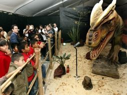 Los visitantes podrán aprender sobre la existencia de dinosaurios gigantes.  /