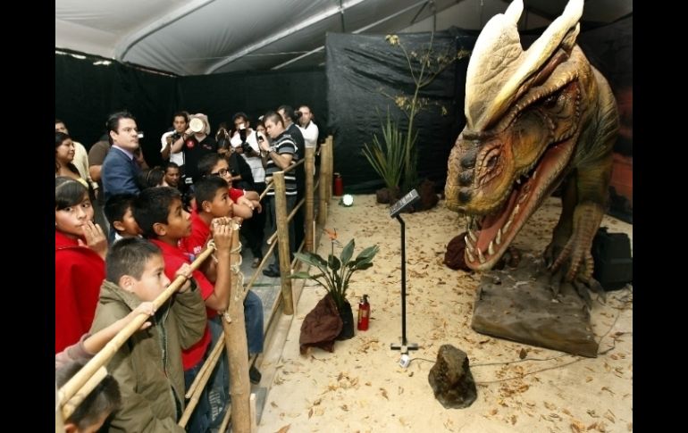 Los visitantes podrán aprender sobre la existencia de dinosaurios gigantes.  /