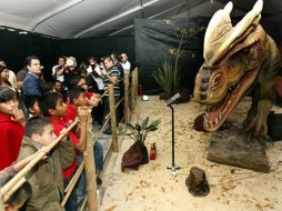 La exhibición prehistórica permanecerá abierta en Plaza Liberación hasta el 2 de febrero de 2012 con horario de 9:00 a 21:00 horas.  /