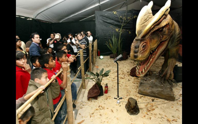 La exhibición prehistórica permanecerá abierta en Plaza Liberación hasta el 2 de febrero de 2012 con horario de 9:00 a 21:00 horas.  /