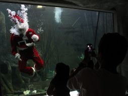 Santa se sumerge equipado con mangueras de oxígeno a una pecera e interactúa con los visitantes durante 30 minutos. EFE  /