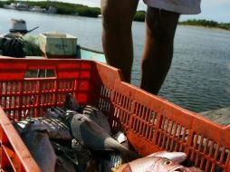 Los pescadores ribereños al narrar su odisea dijeron que habían capturado más de 300 kilos de pescado. ARCHIVO  /