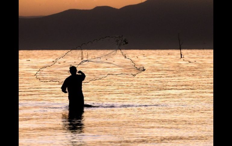 Disminuir el esfuerzo de pesca, es parte de las acciones para la administración integral y sustentable del recurso. ARCHIVO  /