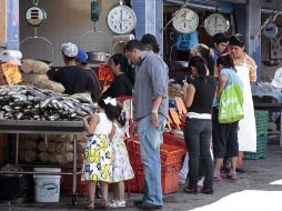 Jalisco será la sede de la coordinación regional Pacífico-Occidente de la Comisión Nacional de Pesca y Acuacultura. ARCHIVO  /