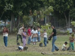 Se dará seguimiento a varias acciones de fomento forestal en municipios, como Ojuelos, Atemajac de Brizuela y otros de la Costa Sur.  /