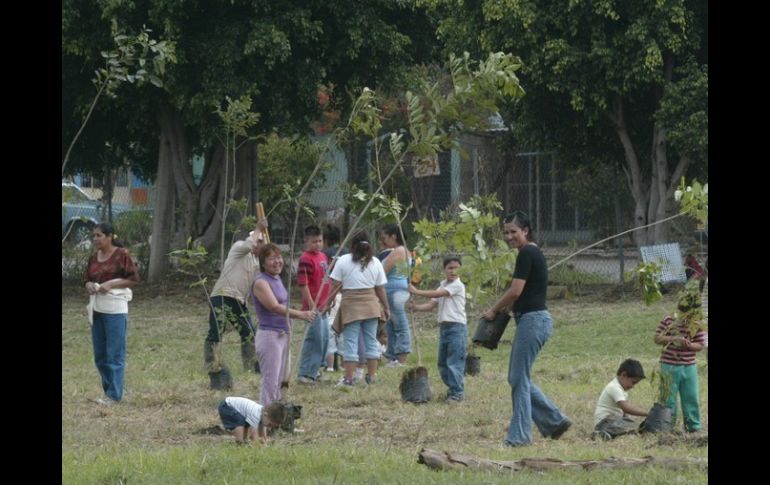 Se dará seguimiento a varias acciones de fomento forestal en municipios, como Ojuelos, Atemajac de Brizuela y otros de la Costa Sur.  /