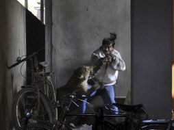 Momento en el que el félido ataca a un hombre en Gauhati, India. AP  /