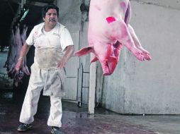 Jalisco ocupa el primer lugar en la producción de carne de cerdo a nivel nacional, posición que había perdido ante Sonora.  /