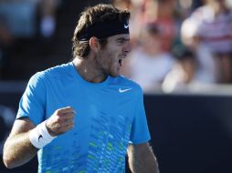 Del Potro se enfrentará nuevamente con Roger Federer. AP  /