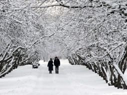 La misma Moscú no es azotada con el frío invernal extremo que le afecta por estas fechas. EFE  /