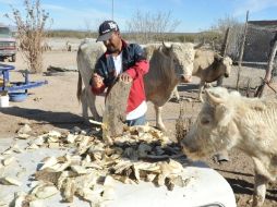 El Gobierno federal destina 34 mil millones de pesos del programa integral de Atención a la Sequía 2012. EFE  /