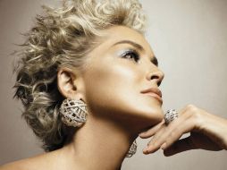 Sharon Stone tiene pendientes varios estrenos. NTX  /