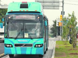 Las especies plantadas en el corredor del Macrobús no son las más adecuadas por su gran tamaño, pues podrían causar daños estructurales  /