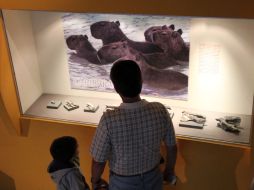 El objetivo es que la familia valore y aprenda sobre la labor de invertigación realizada por el museo.  /