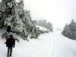 Las bajas temperaturas y las tormentas de nieve que han ocurrido en la zona, se deben a la presencia del frente frío número 31. ARCHIVO  /