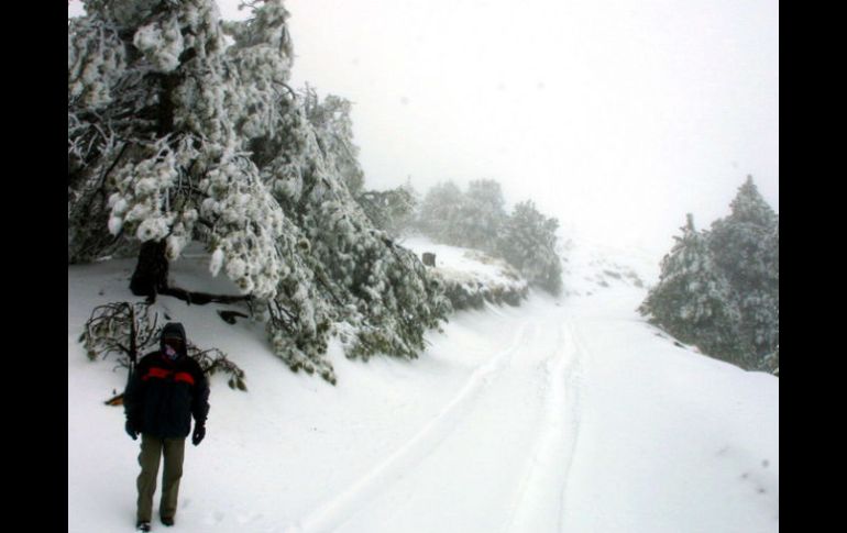 Las bajas temperaturas y las tormentas de nieve que han ocurrido en la zona, se deben a la presencia del frente frío número 31. ARCHIVO  /