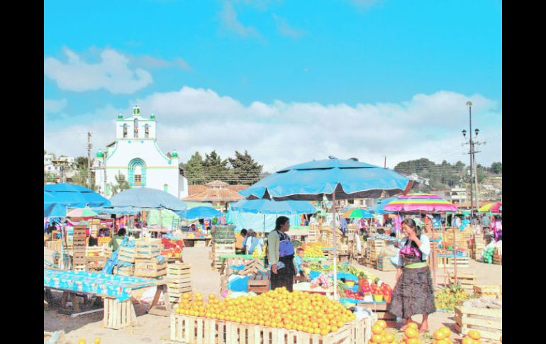 Algunas playas de este destino son aptas para encontrar diversidad de especies y vistas espectaculares.  /