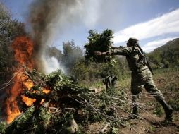 El consumo de drogas en Estados Unidos representa el final de la cadena de narcotráfico que tiene eslabones en todo el mundo. ARCHIVO  /