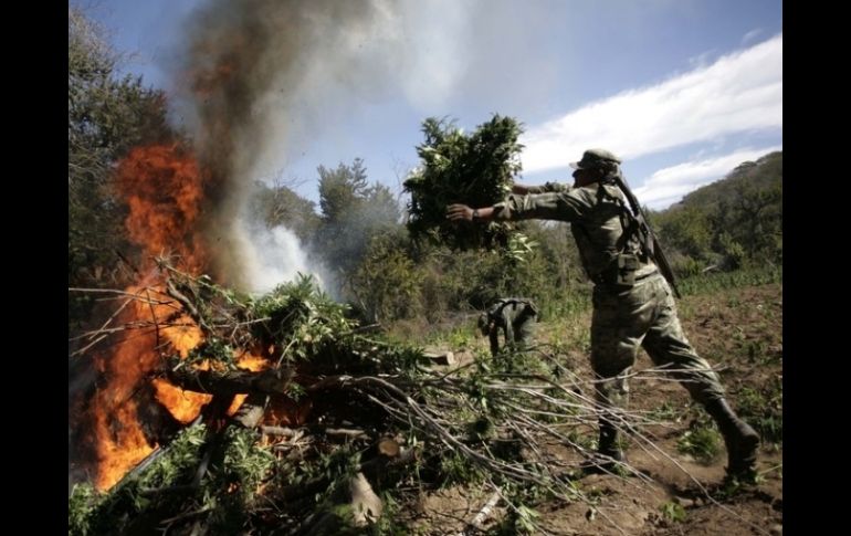 El consumo de drogas en Estados Unidos representa el final de la cadena de narcotráfico que tiene eslabones en todo el mundo. ARCHIVO  /