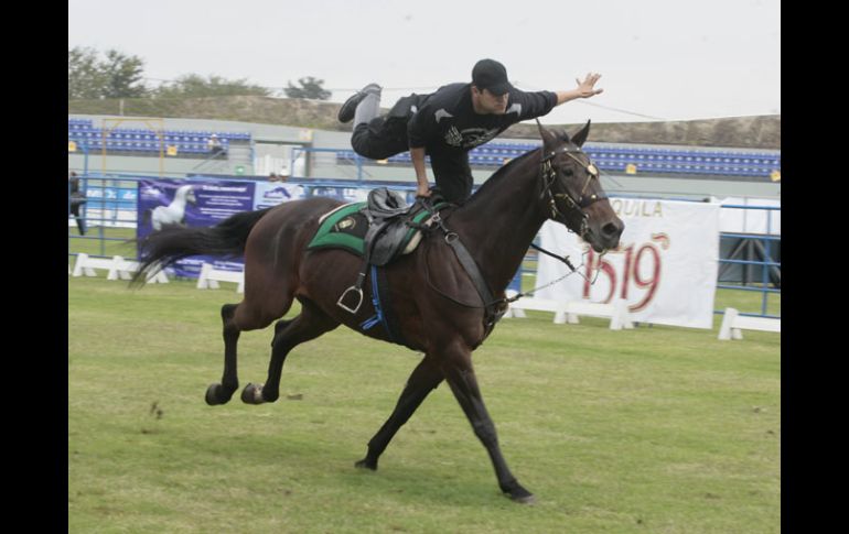 El Festival Internacional del Caballo sigue su marcha.  /