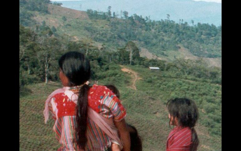 Poblaciones indígenas de todo el mundo se ven afectados en el consumo de agua potable por condiciones meteorológicas. ARCHIVO  /