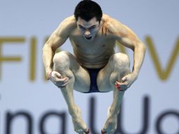 Castillo Huerta sumó 433.55 puntos para quedarse a un sitio de acceder a la final de la Copa del Mundo de Clavados. REUTERS  /